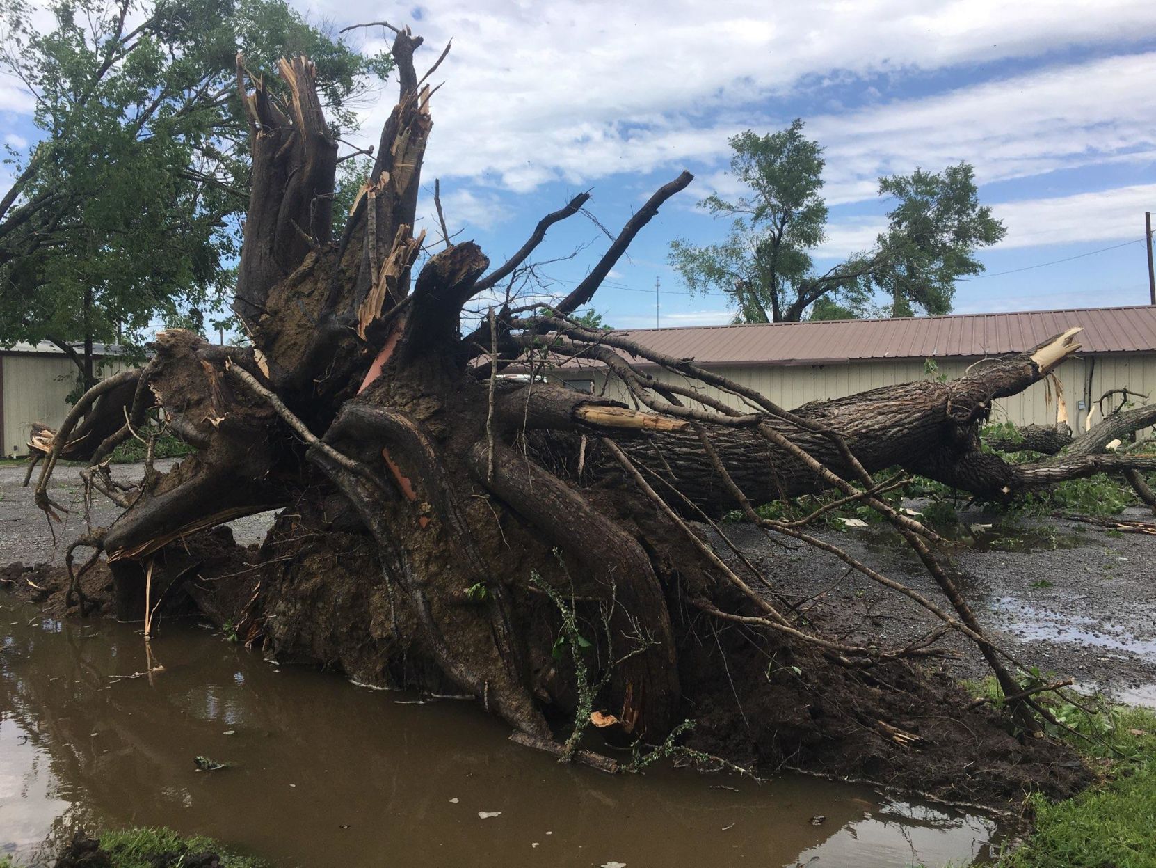 Tornado damage